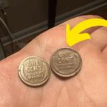 The Lincoln Wheat Penny Valued at $8.2 Million